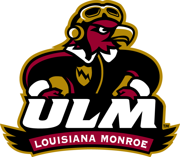 Louisiana-Monroe Warhawks 2006-Pres Misc Logo v3 DIY iron on transfer (heat transfer)
